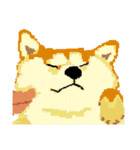 Pixel Shiba（個別スタンプ：21）