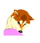 Pixel Shiba（個別スタンプ：22）