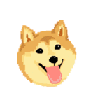 Pixel Shiba（個別スタンプ：23）