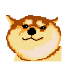 Pixel Shiba（個別スタンプ：26）