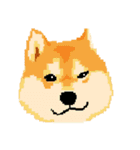 Pixel Shiba（個別スタンプ：27）