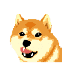 Pixel Shiba（個別スタンプ：28）