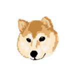 Pixel Shiba（個別スタンプ：29）