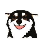 Pixel Shiba（個別スタンプ：31）