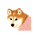 Pixel Shiba（個別スタンプ：32）