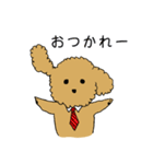 トイプードルの日常生活スタンプ（個別スタンプ：3）