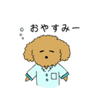 トイプードルの日常生活スタンプ（個別スタンプ：4）