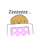 トイプードルの日常生活スタンプ（個別スタンプ：5）