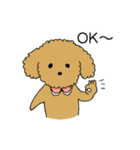 トイプードルの日常生活スタンプ（個別スタンプ：9）