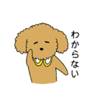 トイプードルの日常生活スタンプ（個別スタンプ：14）