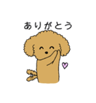 トイプードルの日常生活スタンプ（個別スタンプ：15）