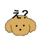 トイプードルの日常生活スタンプ（個別スタンプ：23）