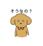トイプードルの日常生活スタンプ（個別スタンプ：24）