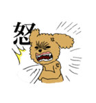 トイプードルの日常生活スタンプ（個別スタンプ：26）