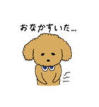 トイプードルの日常生活スタンプ（個別スタンプ：27）