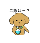 トイプードルの日常生活スタンプ（個別スタンプ：28）