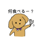 トイプードルの日常生活スタンプ（個別スタンプ：29）