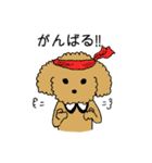 トイプードルの日常生活スタンプ（個別スタンプ：33）