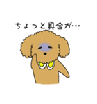 トイプードルの日常生活スタンプ（個別スタンプ：39）