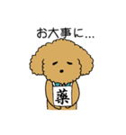 トイプードルの日常生活スタンプ（個別スタンプ：40）