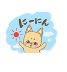 めがね犬のゆるゆるスタンプ（個別スタンプ：2）