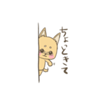 めがね犬のゆるゆるスタンプ（個別スタンプ：6）