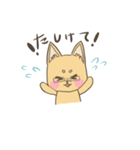 めがね犬のゆるゆるスタンプ（個別スタンプ：8）