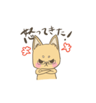めがね犬のゆるゆるスタンプ（個別スタンプ：11）