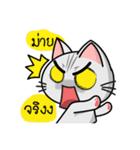 Kuro and Tora the cat（個別スタンプ：6）