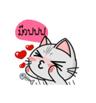 Kuro and Tora the cat（個別スタンプ：10）