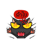 Kuro and Tora the cat（個別スタンプ：11）