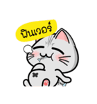 Kuro and Tora the cat（個別スタンプ：17）