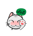 Kuro and Tora the cat（個別スタンプ：22）