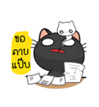 Kuro and Tora the cat（個別スタンプ：24）