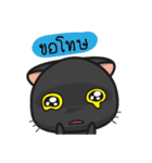 Kuro and Tora the cat（個別スタンプ：27）