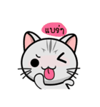 Kuro and Tora the cat（個別スタンプ：28）