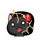 Kuro and Tora the cat（個別スタンプ：29）
