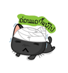 Kuro and Tora the cat（個別スタンプ：30）
