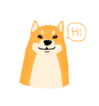 Podgy Shiba（個別スタンプ：1）