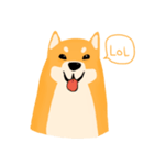 Podgy Shiba（個別スタンプ：2）