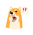 Podgy Shiba（個別スタンプ：3）