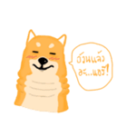 Podgy Shiba（個別スタンプ：4）
