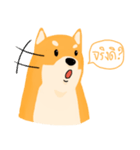 Podgy Shiba（個別スタンプ：5）