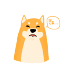 Podgy Shiba（個別スタンプ：6）