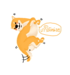 Podgy Shiba（個別スタンプ：7）