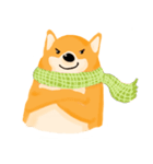 Podgy Shiba（個別スタンプ：9）