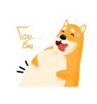 Podgy Shiba（個別スタンプ：13）