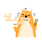 Podgy Shiba（個別スタンプ：19）