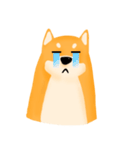 Podgy Shiba（個別スタンプ：20）