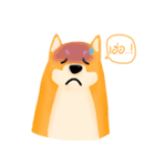 Podgy Shiba（個別スタンプ：23）